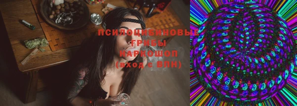 мет Аркадак