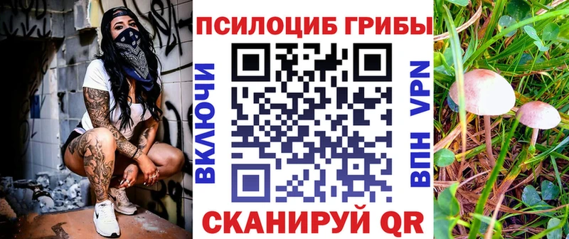 Псилоцибиновые грибы GOLDEN TEACHER  Белокуриха 